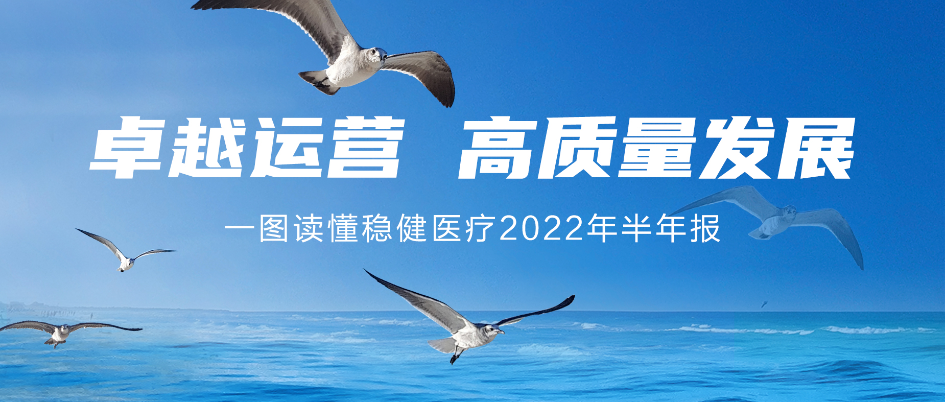 一图读懂豪门国际2022年半年报